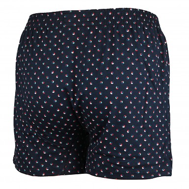 Pánské boxerky 183817 PLEAS