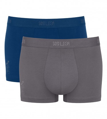 SLG Base Trunk C2P  V001 000L
